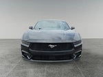 2026 Mustang Thumbnail 8