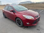 2014 Focus Thumbnail 3