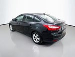 2014 Focus Thumbnail 5