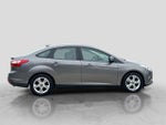 2014 Focus Thumbnail 7