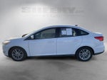 2016 Focus Thumbnail 13