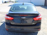 2013 Focus Thumbnail 5