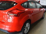 2016 Focus Thumbnail 6
