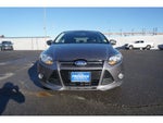 2014 Focus Thumbnail 3