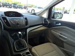 2013 C-MAX Hybrid Thumbnail 19
