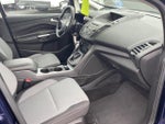 2017 C-MAX Energi Thumbnail 24