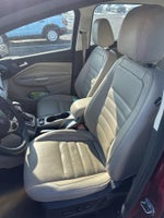 2017 C-MAX Energi Thumbnail 6