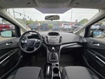 2017 C-MAX Energi Thumbnail 15