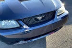 2001 Mustang Thumbnail 5