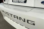 2003 Mustang Thumbnail 28