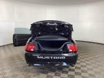 2001 Mustang Thumbnail 22