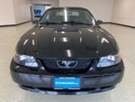 2002 Mustang Thumbnail 2