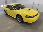 2001 Mustang Thumbnail 2