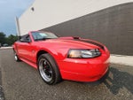 1999 Mustang Thumbnail 8
