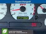2003 Mustang SVT Cobra Thumbnail 4