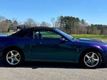 2004 Mustang SVT Cobra Thumbnail 5