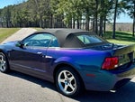 2004 Mustang SVT Cobra Thumbnail 8