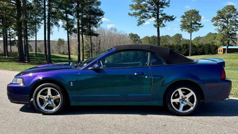 Preowned 2004 Ford Mustang SVT Cobra Base for Sale