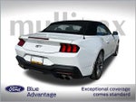 2024 Mustang Thumbnail 4