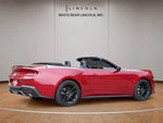 2024 Mustang Thumbnail 5