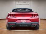 2024 Mustang Thumbnail 6