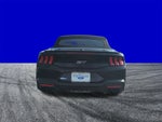 2025 Mustang Thumbnail 22
