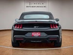 2025 Mustang Thumbnail 6