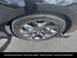 2025 Mustang Thumbnail 25