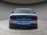 2025 Mustang Thumbnail 7