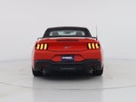2024 Mustang Thumbnail 6