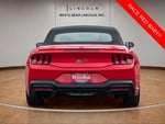 2025 Mustang Thumbnail 6