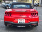 2025 Mustang Thumbnail 4