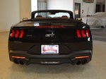 2024 Mustang Thumbnail 4