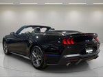 2025 Mustang Thumbnail 14