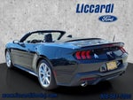 2024 Mustang Thumbnail 4