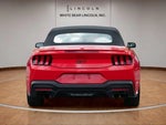 2025 Mustang Thumbnail 6