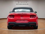 2025 Mustang Thumbnail 7