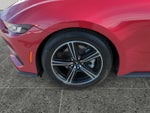 2024 Mustang Thumbnail 14