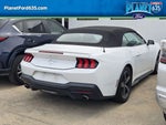 2024 Mustang Thumbnail 6