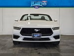 2024 Mustang Thumbnail 5