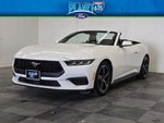2024 Mustang Thumbnail 6