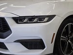 2024 Mustang Thumbnail 10