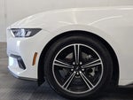 2024 Mustang Thumbnail 11