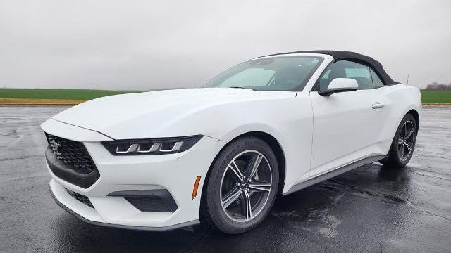 Preowned 2024 Ford Mustang EcoBoost for Sale