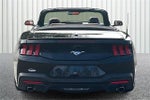 2024 Mustang Thumbnail 4