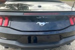 2024 Mustang Thumbnail 14