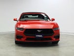 2024 Mustang Thumbnail 5