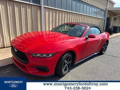 2024 Ford Mustang Ecoboost Premium 2DR Convertible