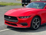 2024 Mustang Thumbnail 29