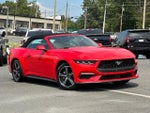 2024 Mustang Thumbnail 38